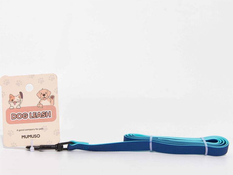 MUMUSO Simple Blue Dog Leash product image